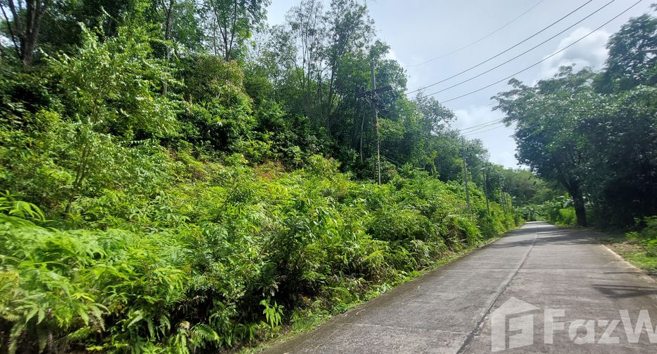 ขาย ที่ดิน ใน เมืองภูเก็ต, ภูเก็ต