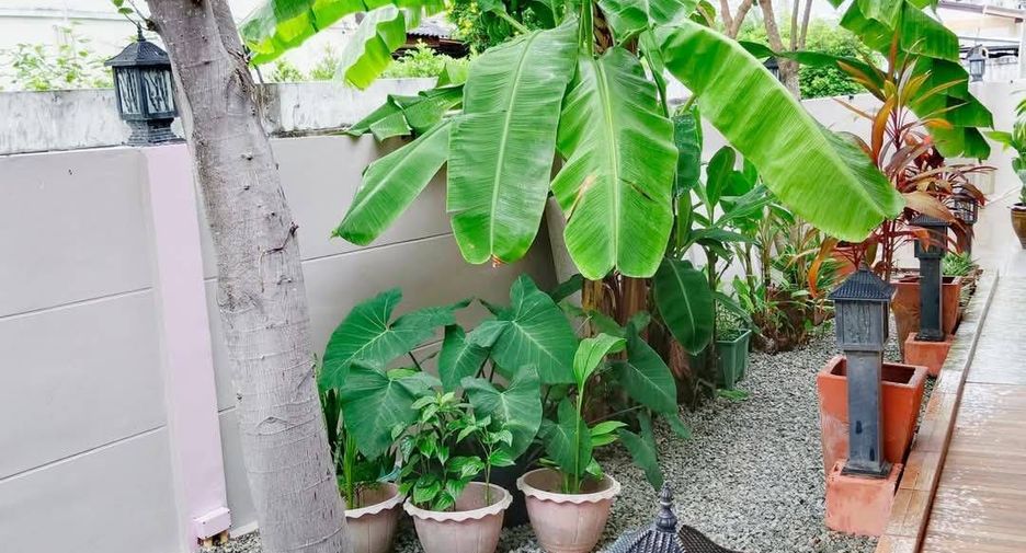 ขาย 3 ห้องนอน บ้านเดี่ยว ใน เมืองภูเก็ต, ภูเก็ต