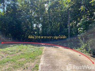 For sale land in Muang Nan, Nan