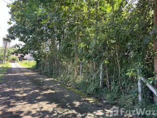 For sale land in Muang Nan, Nan