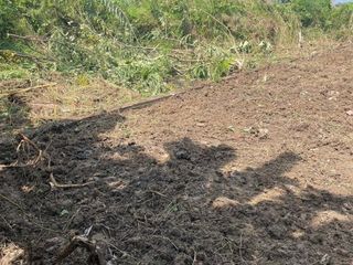 For sale land in Bang Khun Thian, Bangkok
