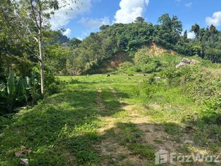 Grundstück zum Kauf in Thalang, Phuket