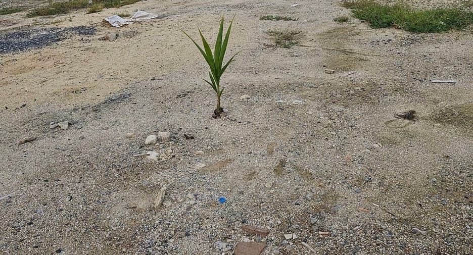 Grundstück zum Kauf in Mueang Samut Prakan, Samut Prakan
