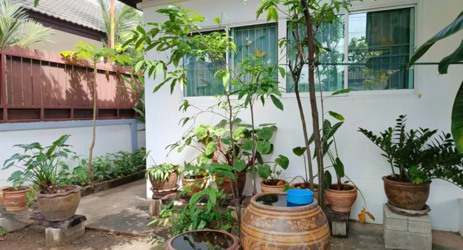 For rent 3 bedrooms villa in Thalang, Phuket