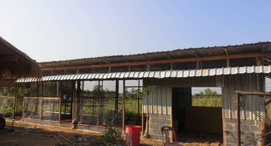 Grundstück zum Kauf in Khu Mueang, Buriram