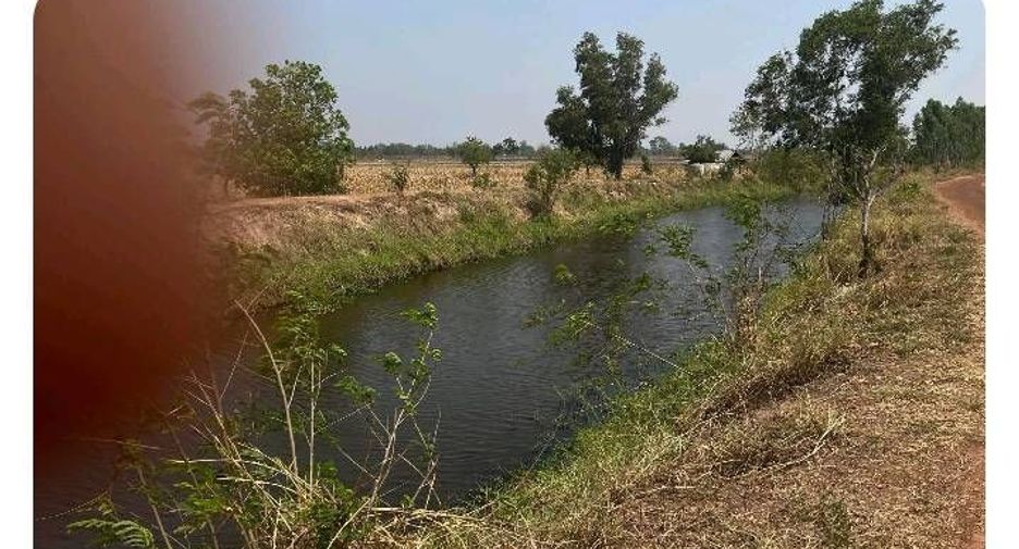 For sale land in Yang Talat, Kalasin