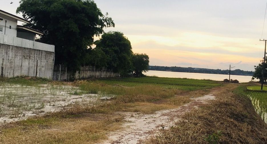 Продажа Участок в Bueng Khong Long, Bueng Kan