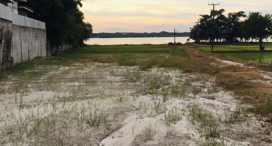 Продажа Участок в Bueng Khong Long, Bueng Kan