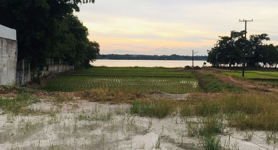 Продажа Участок в Bueng Khong Long, Bueng Kan