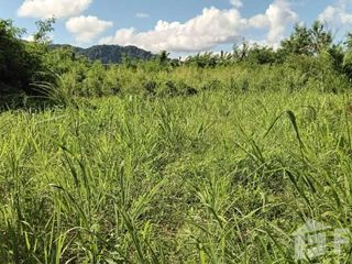 For sale land in Mueang Phuket, Phuket