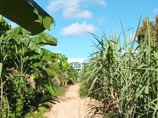 For sale land in Mueang Phuket, Phuket