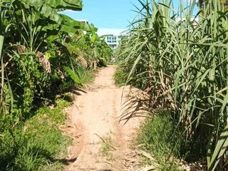 For sale land in Mueang Phuket, Phuket