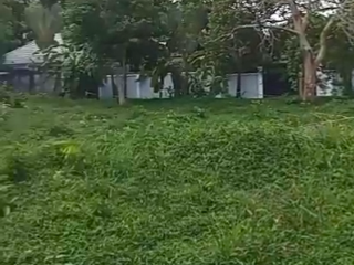 For sale land in Mueang Phuket, Phuket