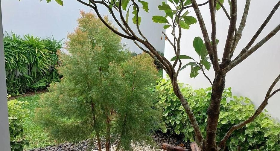 For rent 4 bedrooms villa in Thalang, Phuket