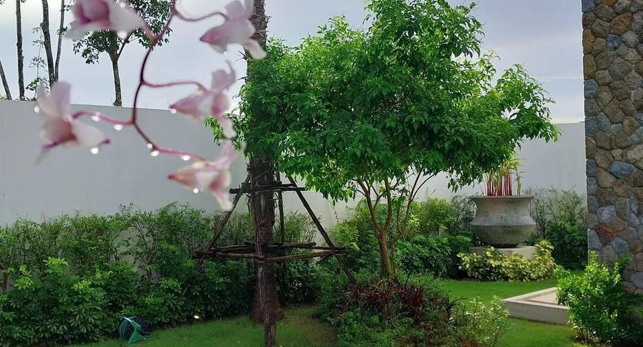 For rent 4 bedrooms villa in Thalang, Phuket