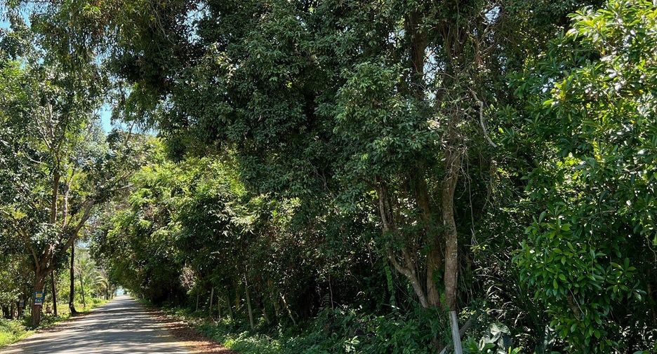 For sale land in Singhanakhon, Songkhla