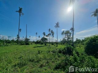 Terreno en venta en Sichon, Nakhon Si Thammarat