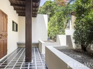 ขาย 4 ห้องนอน อพาร์ทเม้นท์ ใน เกาะพะงัน, สุราษฎร์ธานี