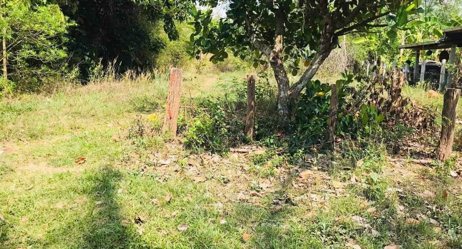 For sale land in Phon Sawan, Nakhon Phanom