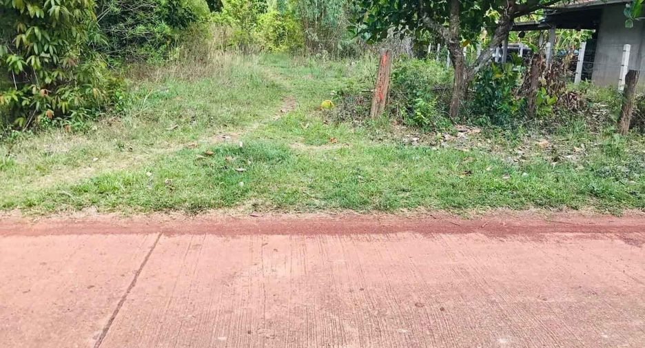 For sale land in Phon Sawan, Nakhon Phanom