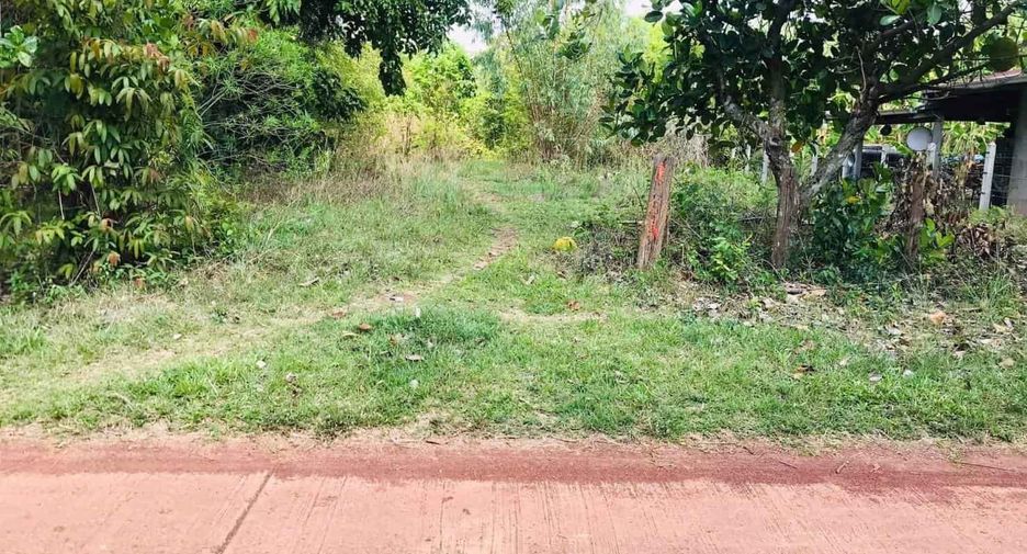 For sale land in Phon Sawan, Nakhon Phanom