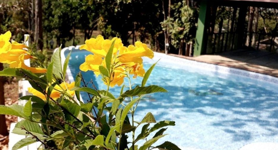 Haus zum Kauf und zur Miete mit 3 Zimmer in Mueang Chiang Rai, Chiang Rai