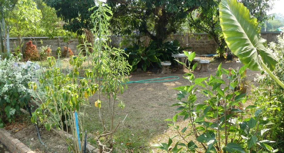 For sale 2 bedrooms house in Mueang Phayao, Phayao