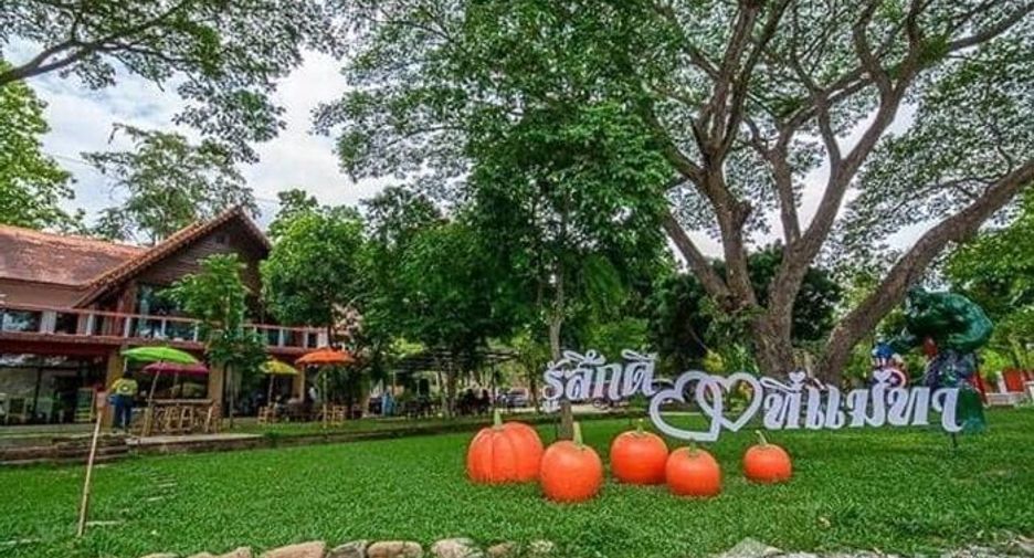 For sale 10 bedrooms hotel in Mae Tha, Lamphun