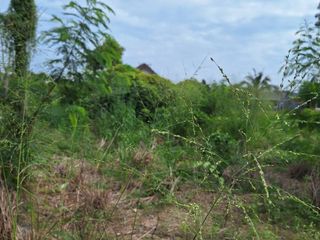 For sale land in Mueang Phuket, Phuket