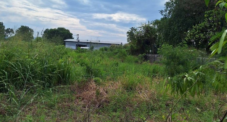 For sale land in Mueang Phuket, Phuket