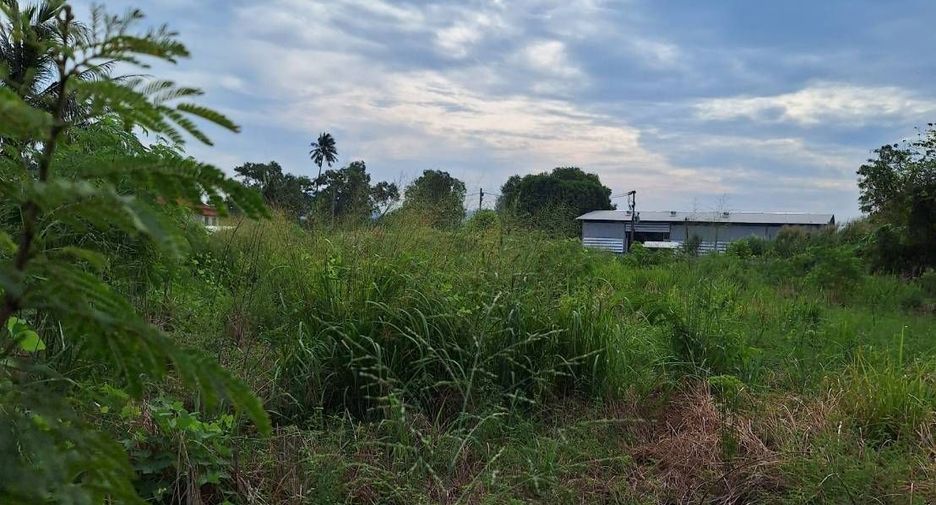 For sale land in Mueang Phuket, Phuket