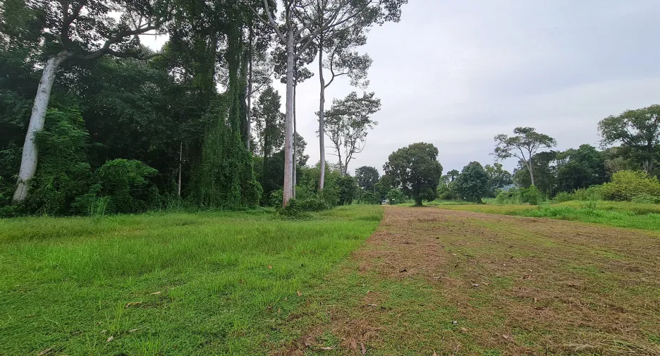 For sale land in Klaeng, Rayong