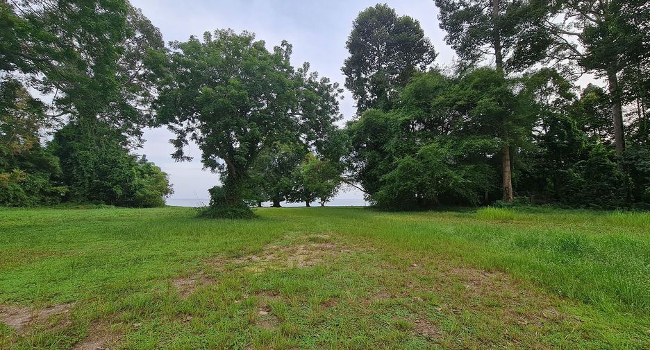 For sale land in Klaeng, Rayong