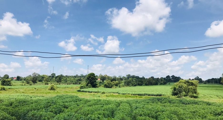 Grundstück zum Kauf in Nam Phong, Khon Kaen