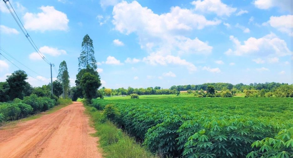For sale land in Nam Phong, Khon Kaen