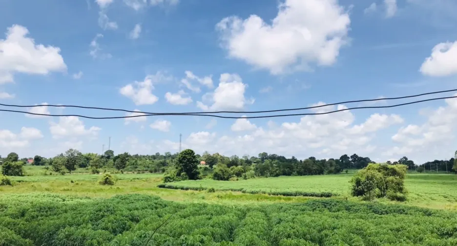 For sale land in Nam Phong, Khon Kaen