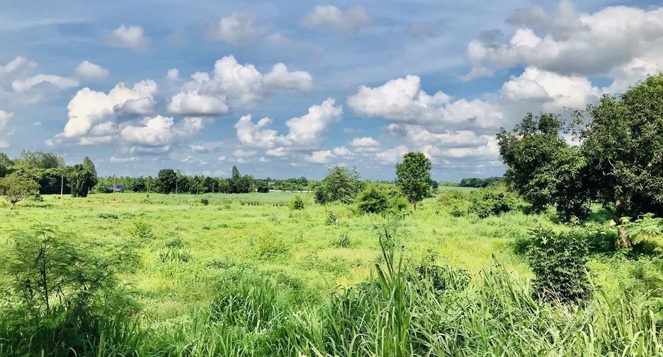 For sale land in Nam Phong, Khon Kaen