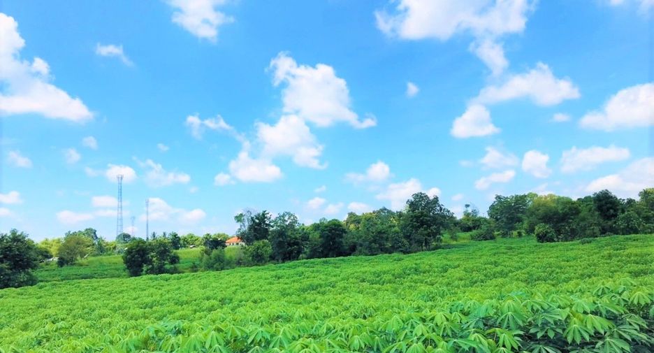 For sale land in Nam Phong, Khon Kaen