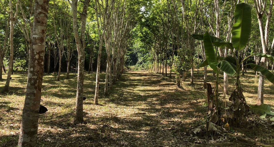 ขาย ที่ดิน ใน ทองผาภูมิ, กาญจนบุรี