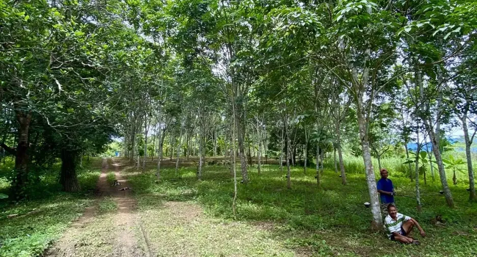 ขาย ที่ดิน ใน ทองผาภูมิ, กาญจนบุรี