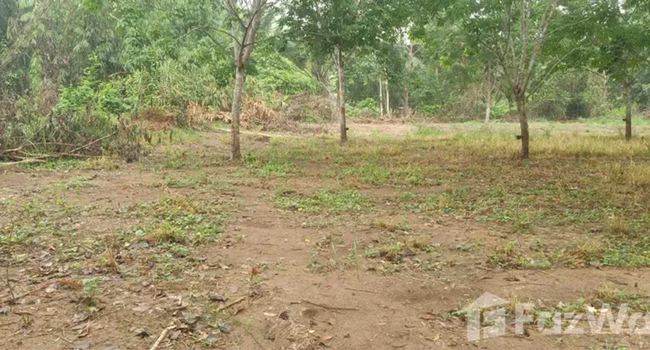 ขาย ที่ดิน ใน ทองผาภูมิ, กาญจนบุรี