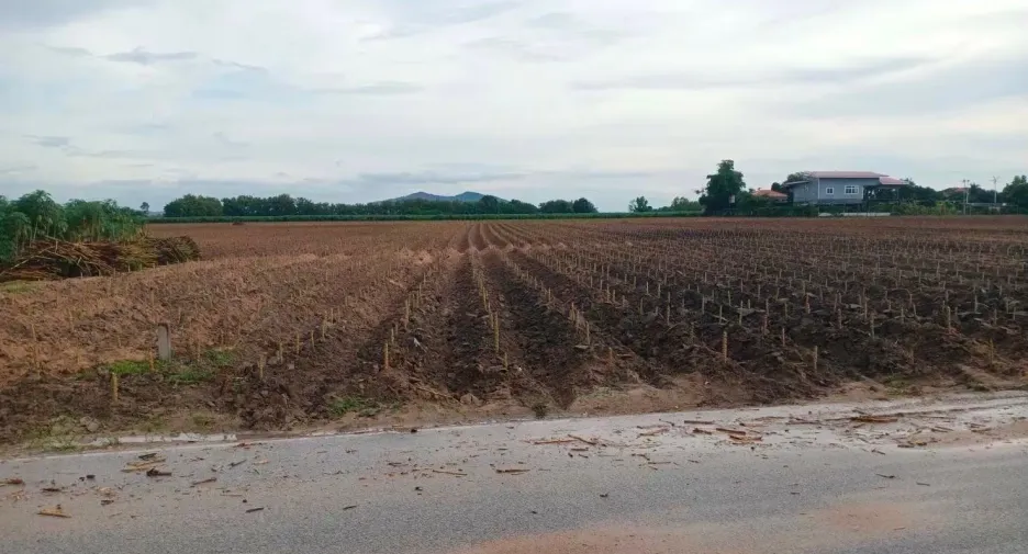 For sale land in Ban Chang, Rayong