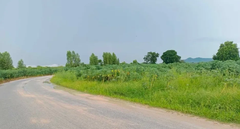 For sale land in Ban Chang, Rayong