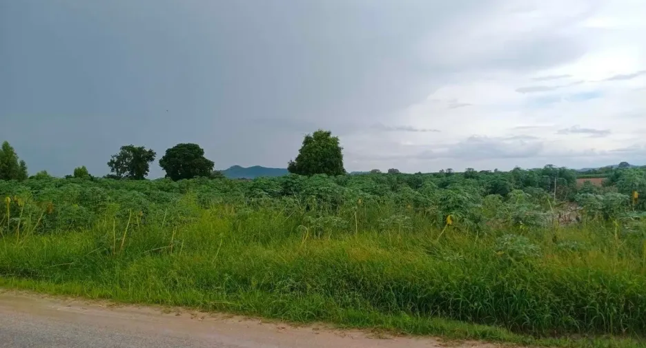 For sale land in Ban Chang, Rayong