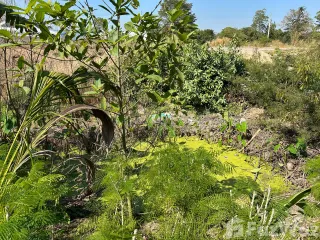 ขาย ที่ดิน ใน เมืองกำแพงเพชร, กำแพงเพชร