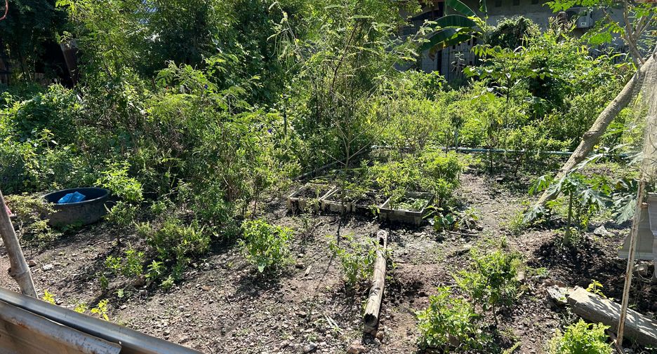 Продажа Участок в Mueang Kamphaeng Phet, Кампхэнгпхет