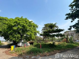 For sale land in Phra Khanong, Bangkok