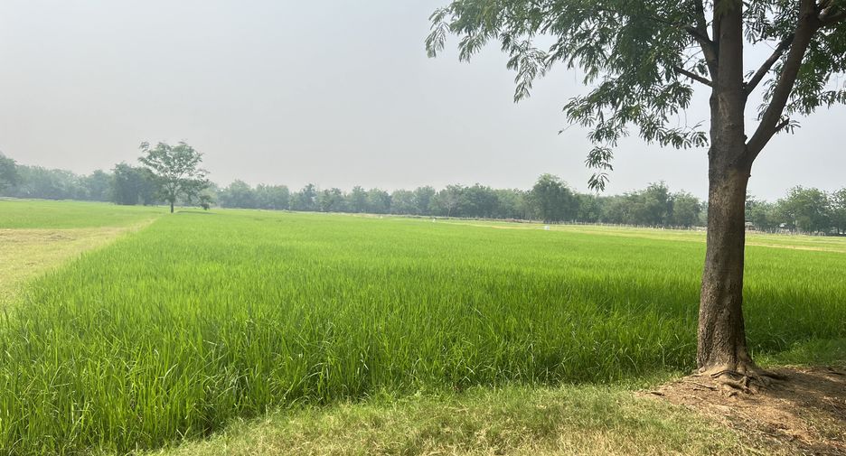 For sale land in Mueang Kanchanaburi, Kanchanaburi