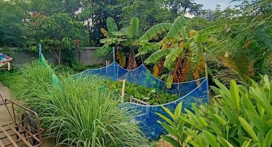 For sale 2 bedrooms house in Mueang Amnat Charoen, Amnat Charoen
