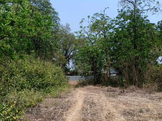 ขาย ที่ดิน ใน ศรีประจันต์, สุพรรณบุรี